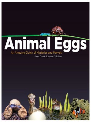 cover image of Animal Eggs